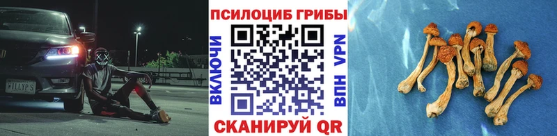 Псилоцибиновые грибы мицелий  Белинский 