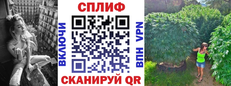 наркота  Белинский  Каннабис White Widow 